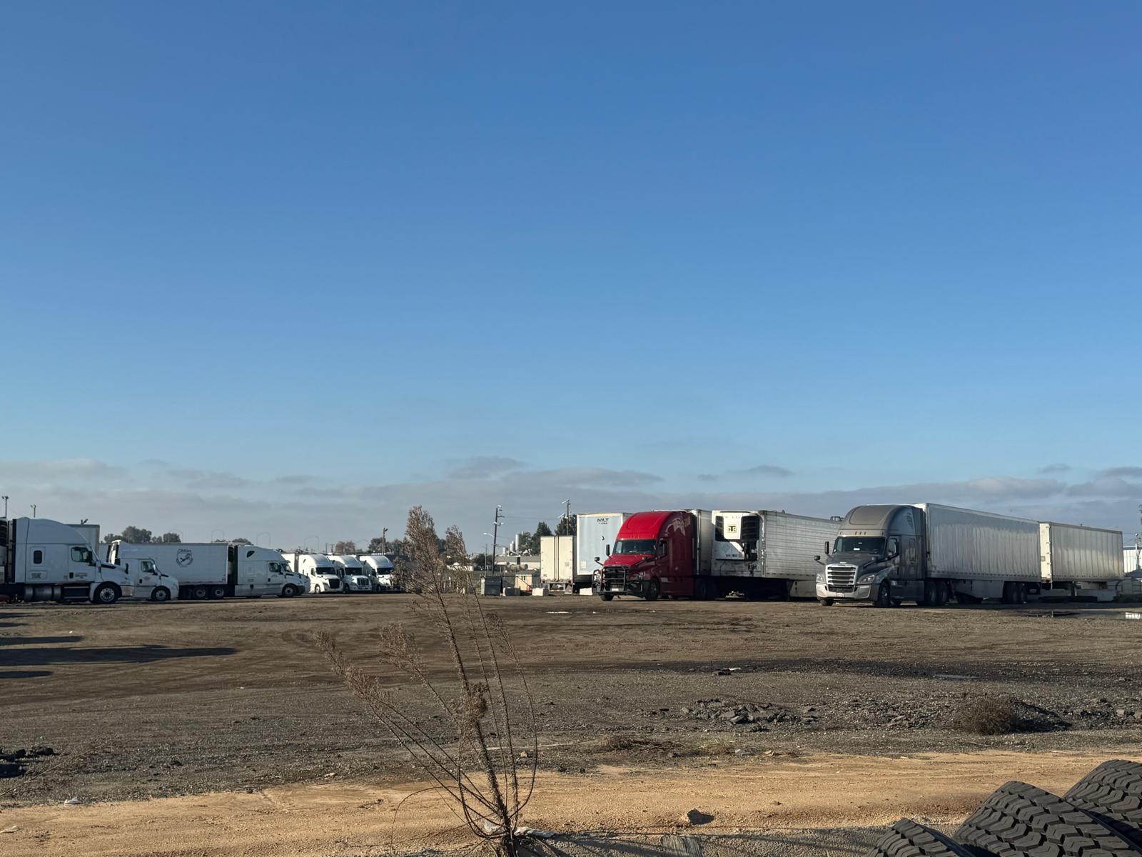 WhatsApp Image 2025-12-30 at 4.03.08 AM (2)